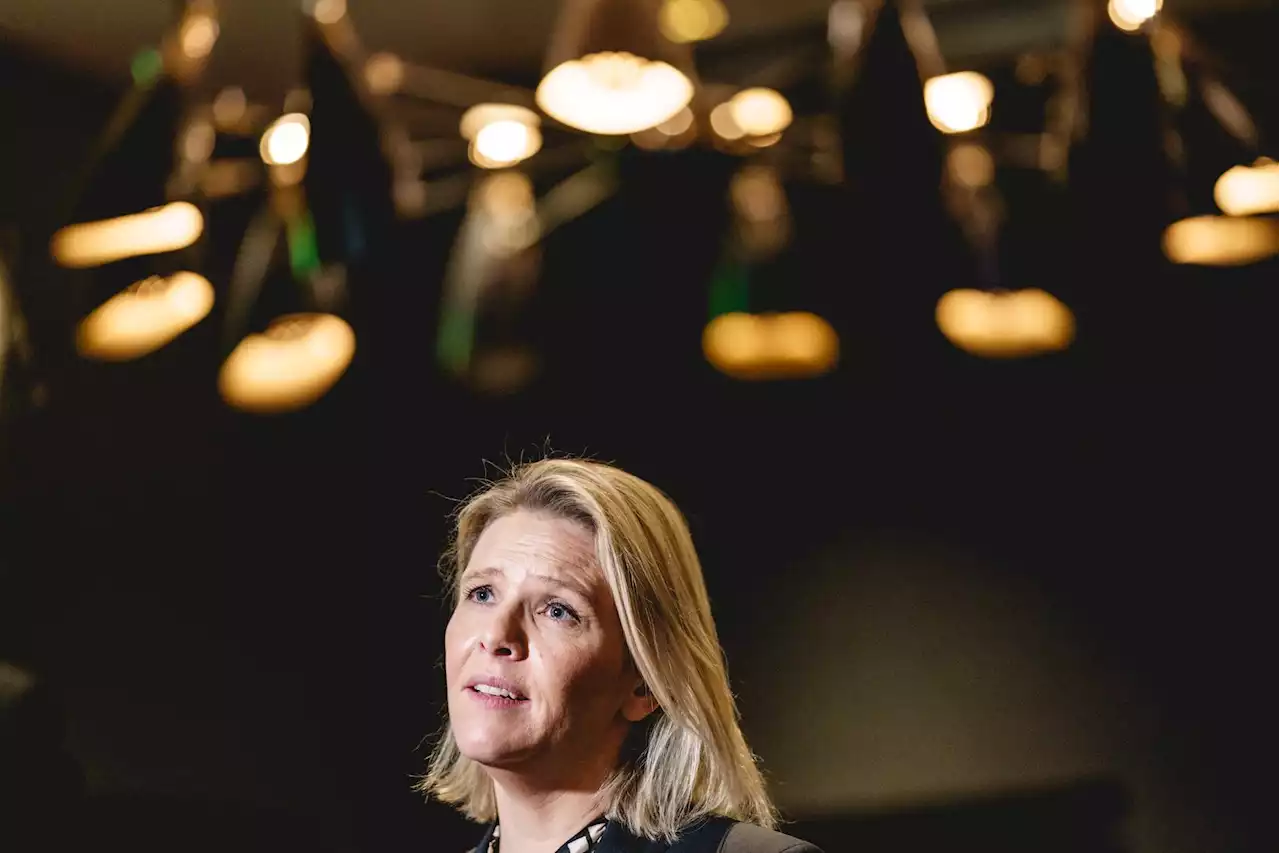 Listhaug vil bruke mer statlige penger