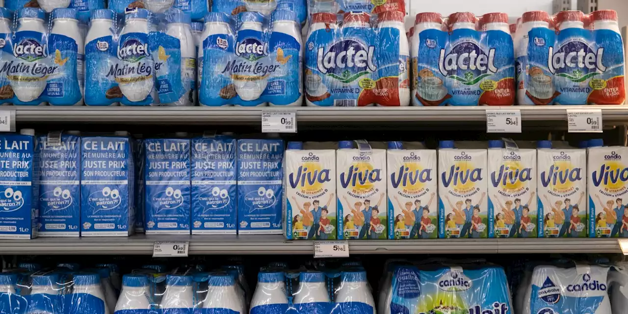 Inflation : pourquoi le prix du lait pourrait augmenter l’année prochaine