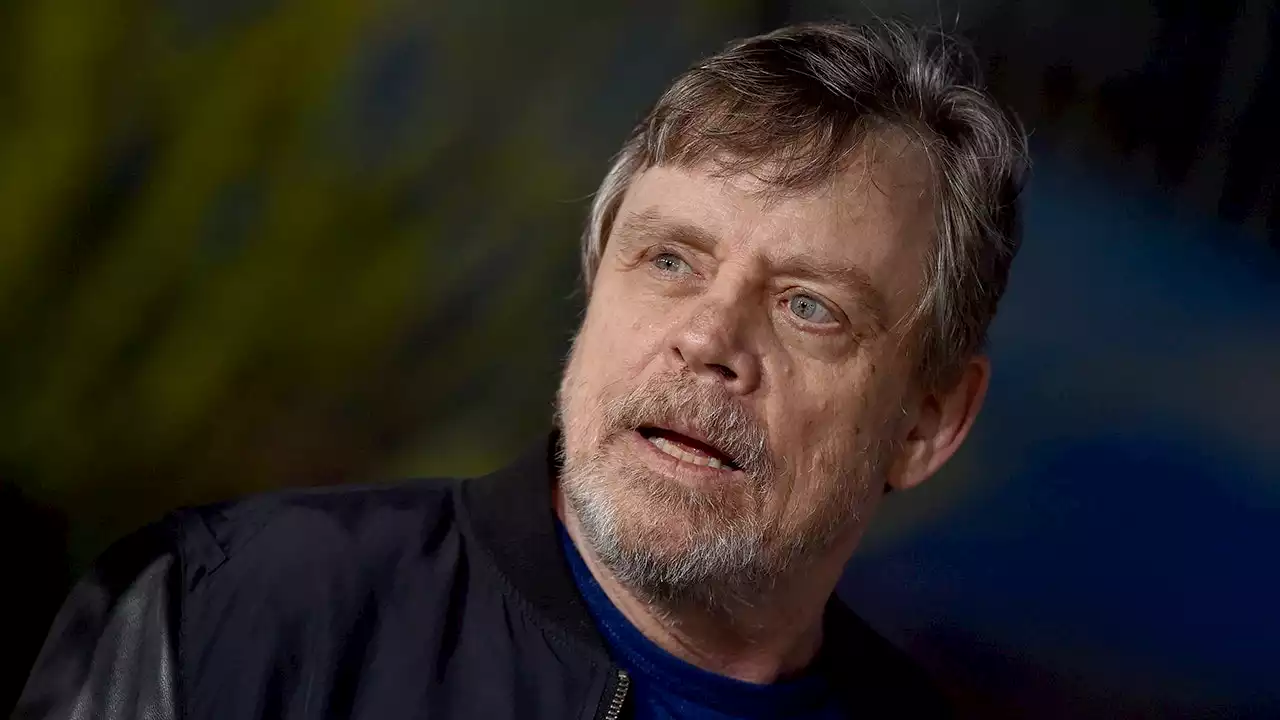 'Star Wars' actor Mark Hamill donated 500 drones to Ukraine forces through charity