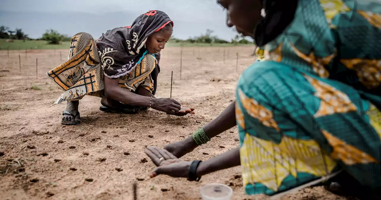 La «santé planétaire», un concept «transdisciplinaire» pour tenter de résoudre la crise écologique