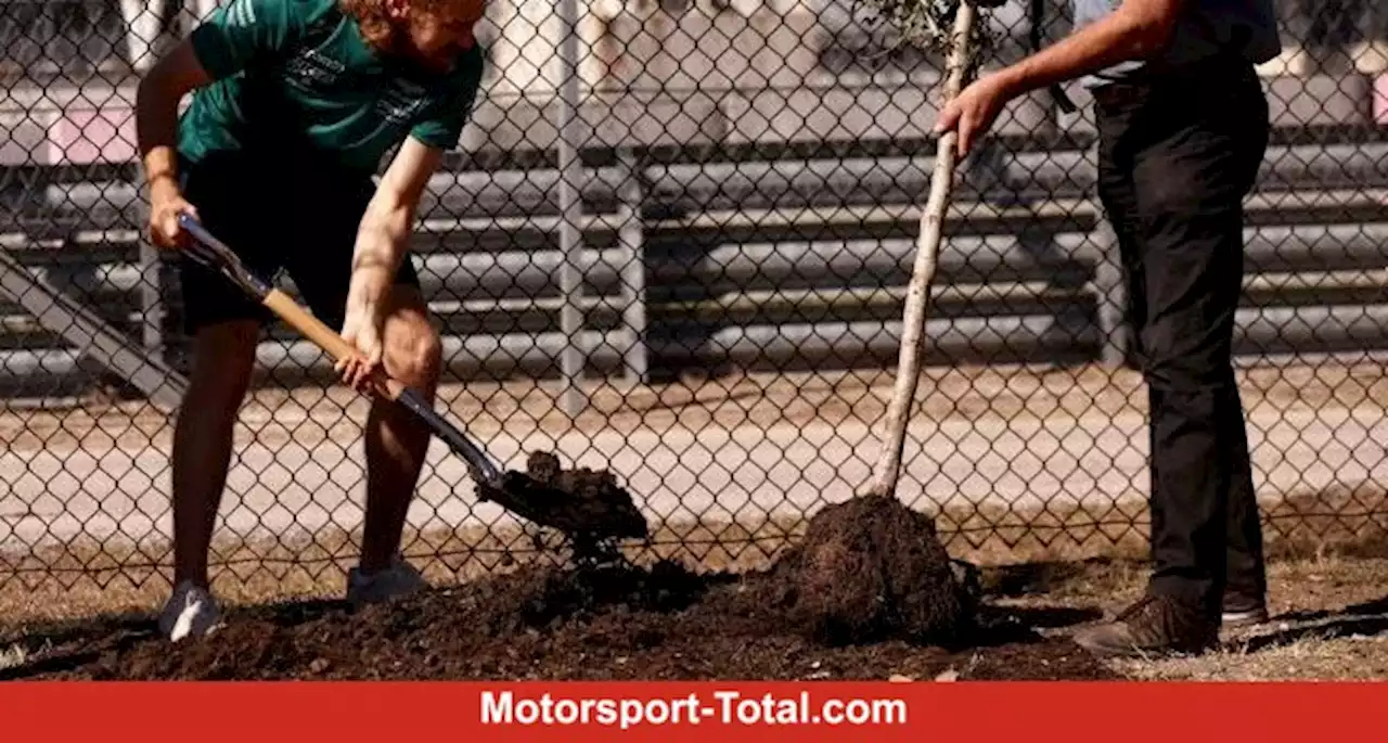 Zu Ehren von Vettel: COTA pflanzt 296 Bäume in Austin