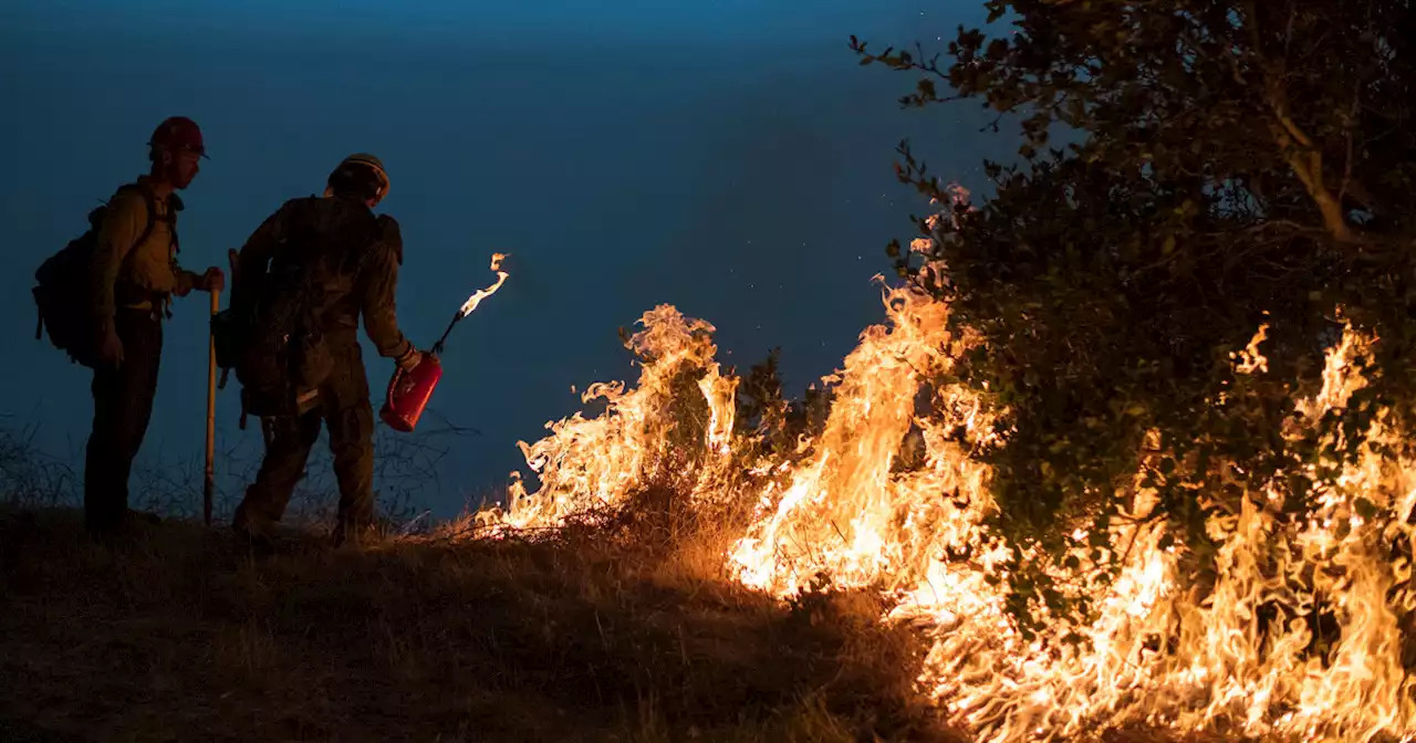 Forest Service 'burn boss' arrested after prescribed fire torches private land in Oregon