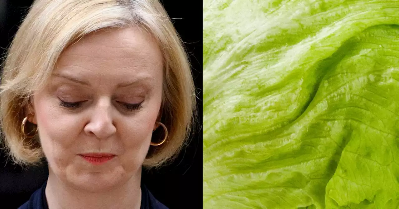 Lettuce declared winner after it outlived Liz Truss' premiership