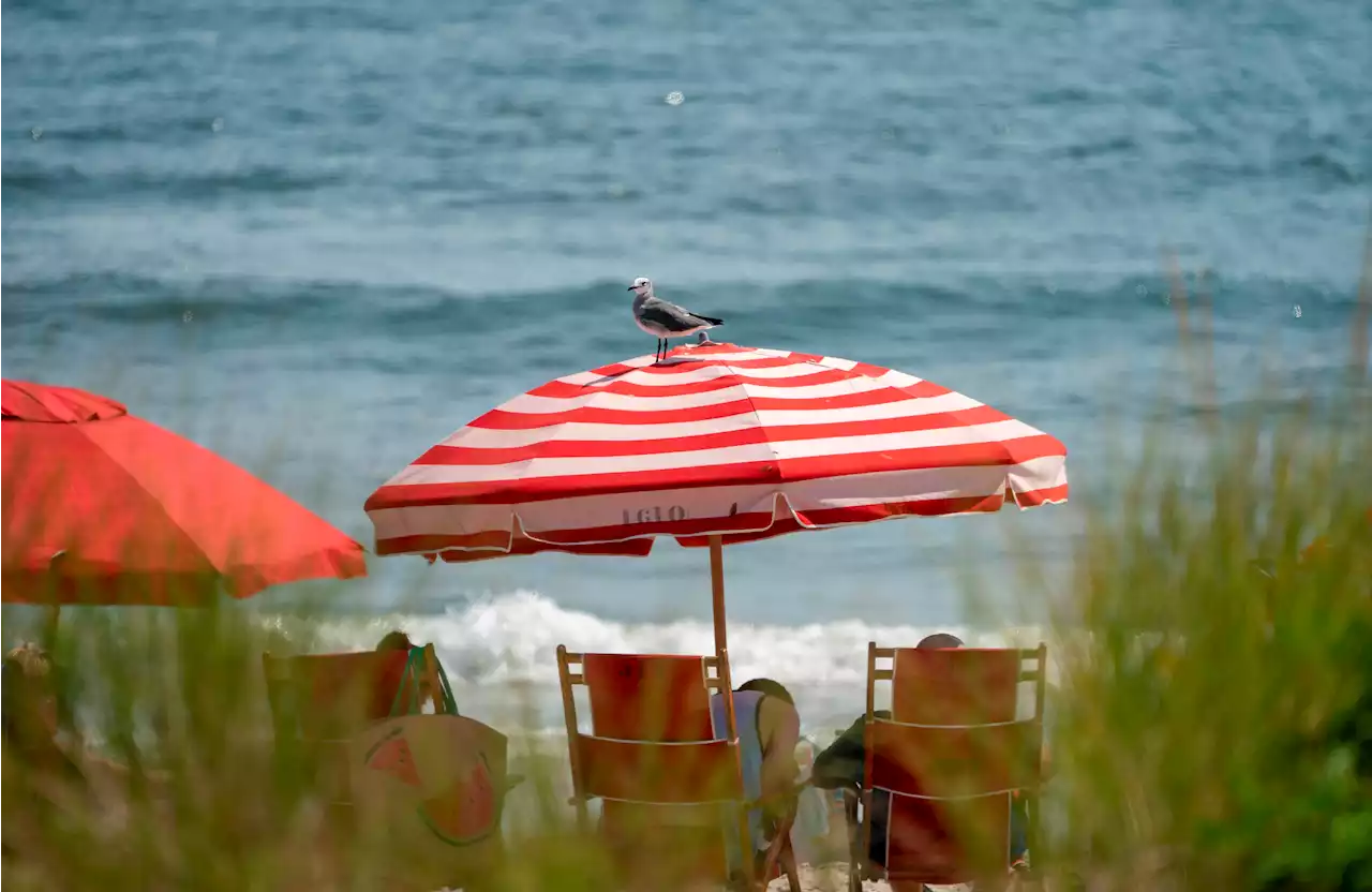 Ocean City, N.J., Doubles Its Beach Badge Prices for Next Summer