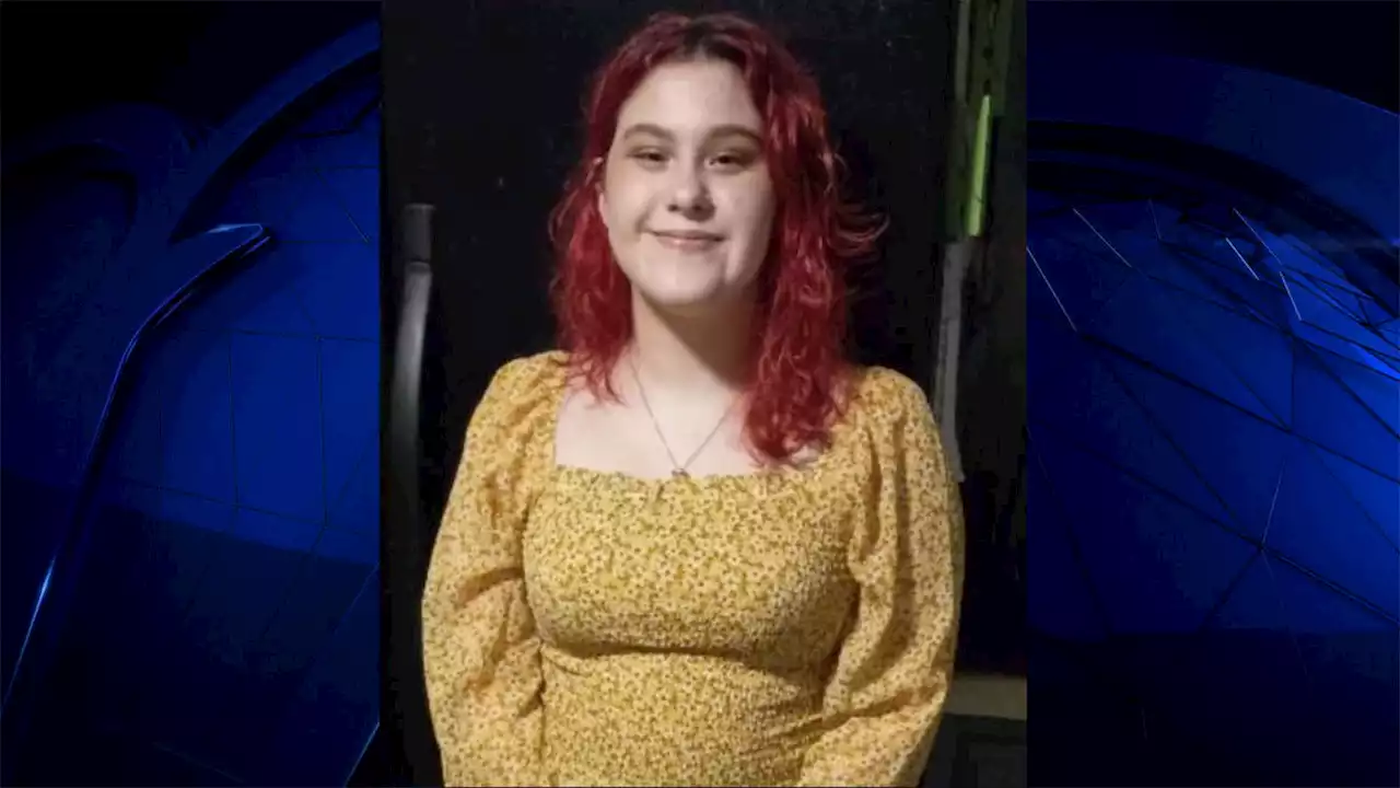 Raynham Police Searching for Missing Teenager