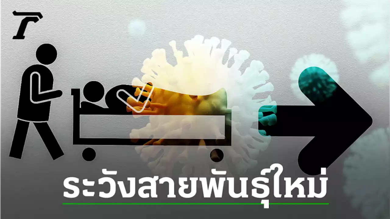 จับตาโควิดสายพันธ์ุใหม่ BQ.1, BQ.1.1 เพิ่มจำนวนในสหรัฐฯ