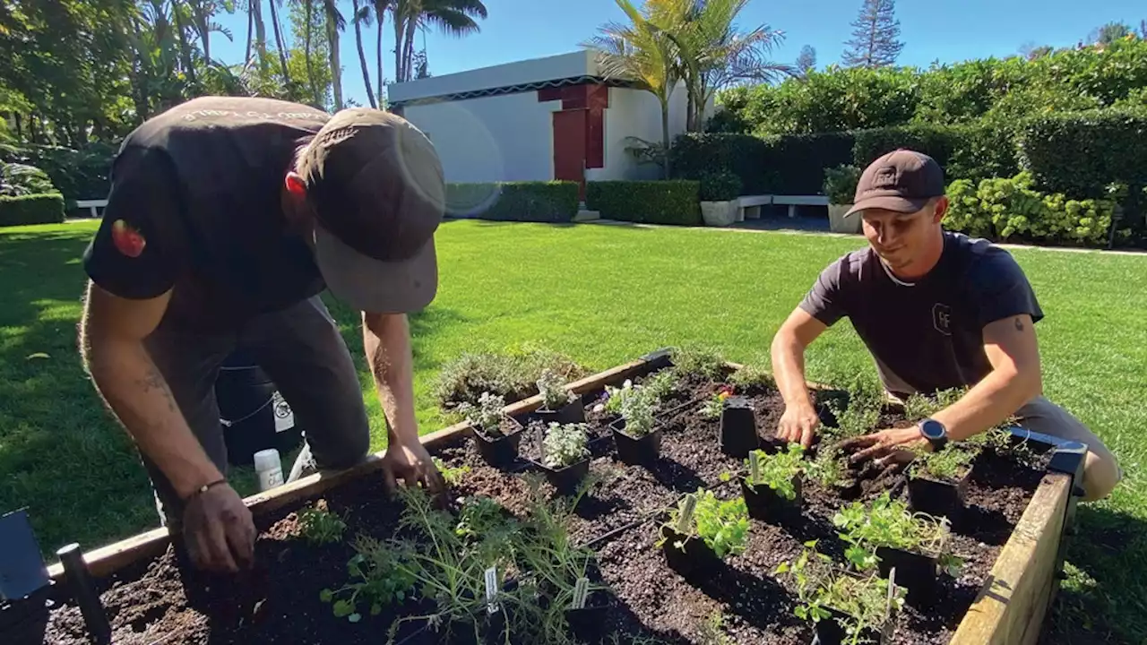 Meet the Vegetable Gardener to Hollywood’s A-List