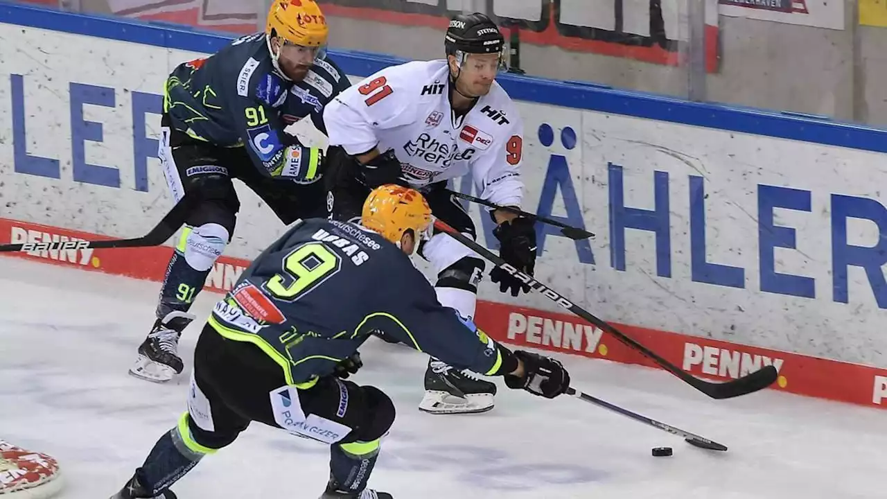 fischtown pinguins besiegen auch die kölner haie