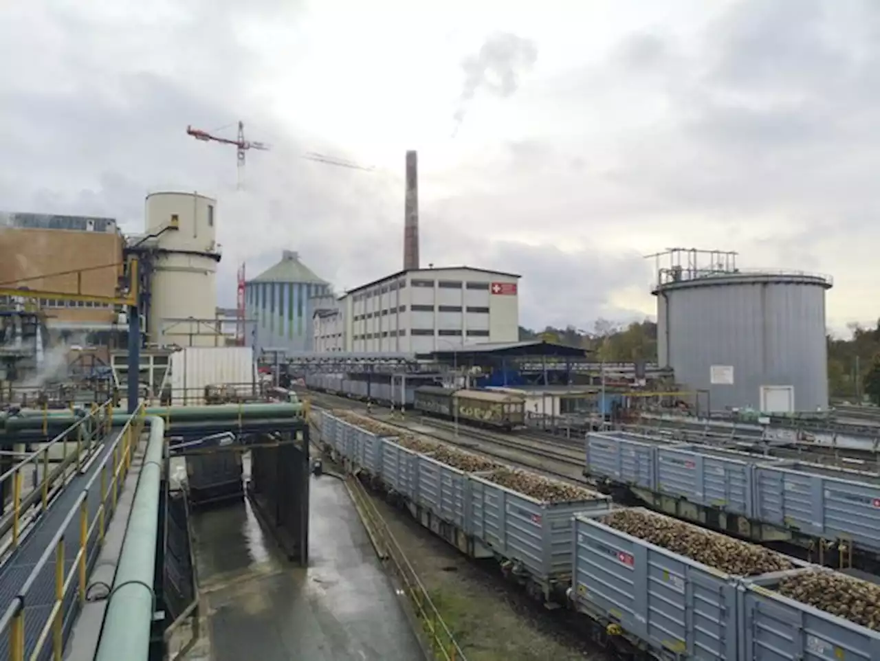 Kampagnenstart in schwierigem Umfeld - bauernzeitung.ch