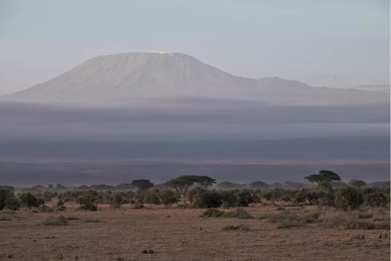 Großfeuer am Kilimandscharo: Der höchste Berg Afrikas brennt