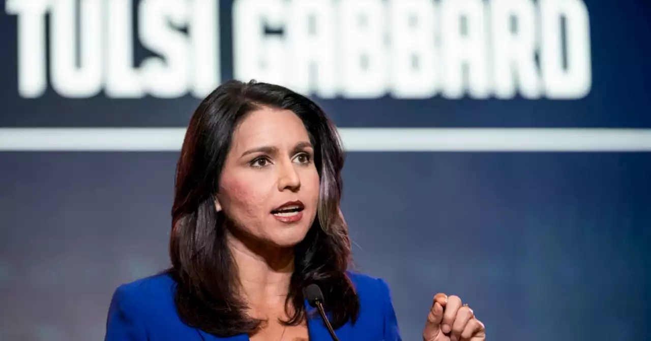 Opinion | If Tulsi Gabbard Falls in the Woods, Should It Make a Sound?