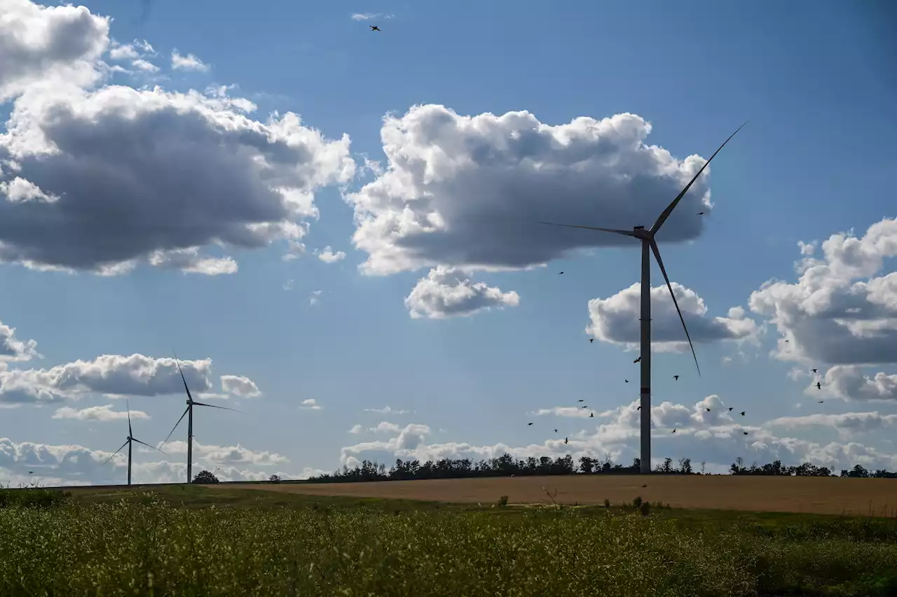 Russischer Angriffskrieg - Ukraine büßt Großteil ihrer Windkraft ein