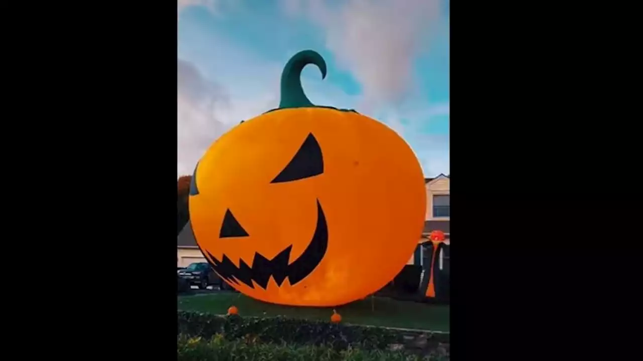 Massive inflatable pumpkin takes over a neighbourhood for Halloween. Watch
