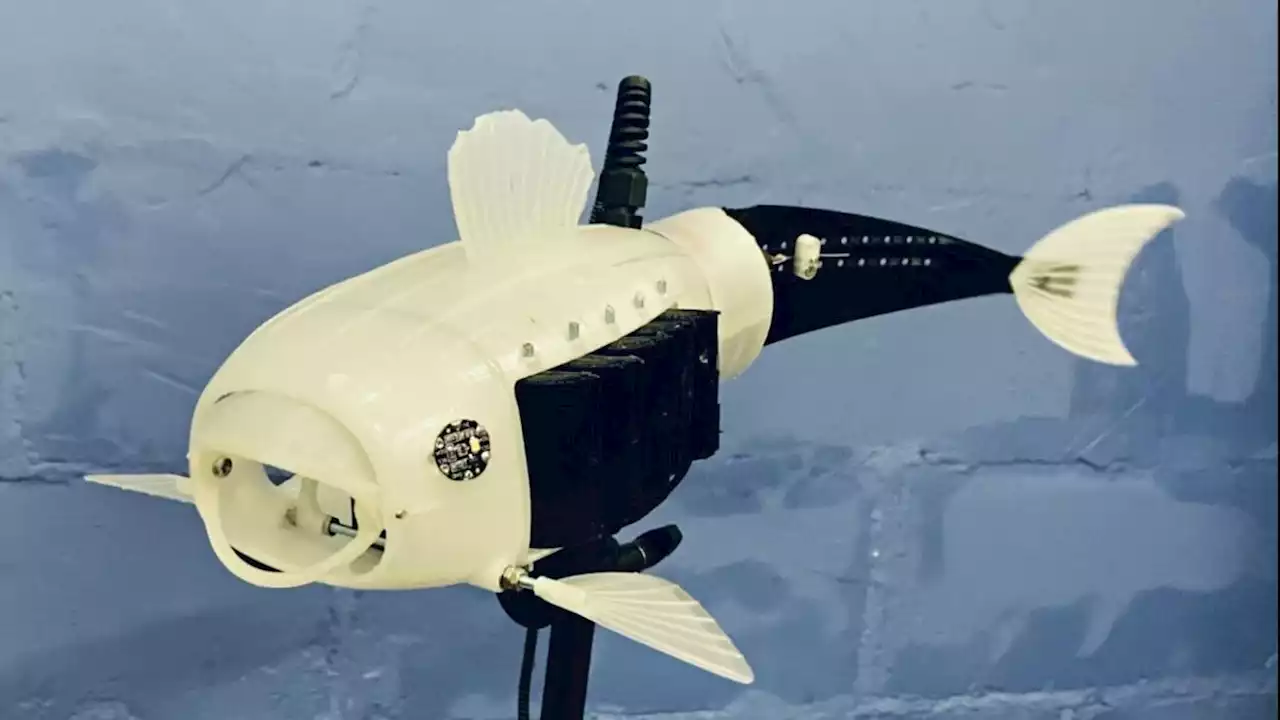 Award-winning — plastic-eating robo-fish is finally here to rid our waters of waste