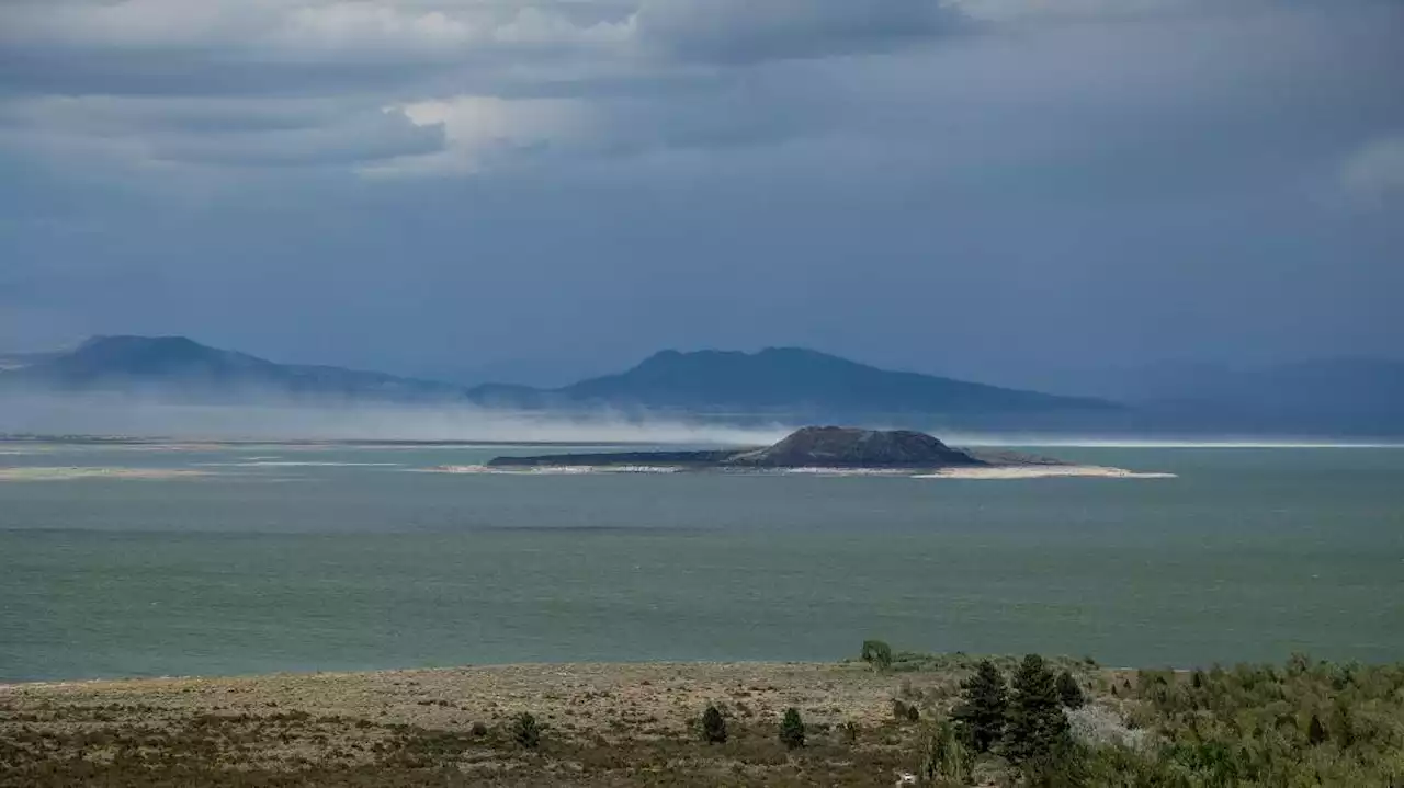 How to help Great Salt Lake: Would a public trust doctrine work?