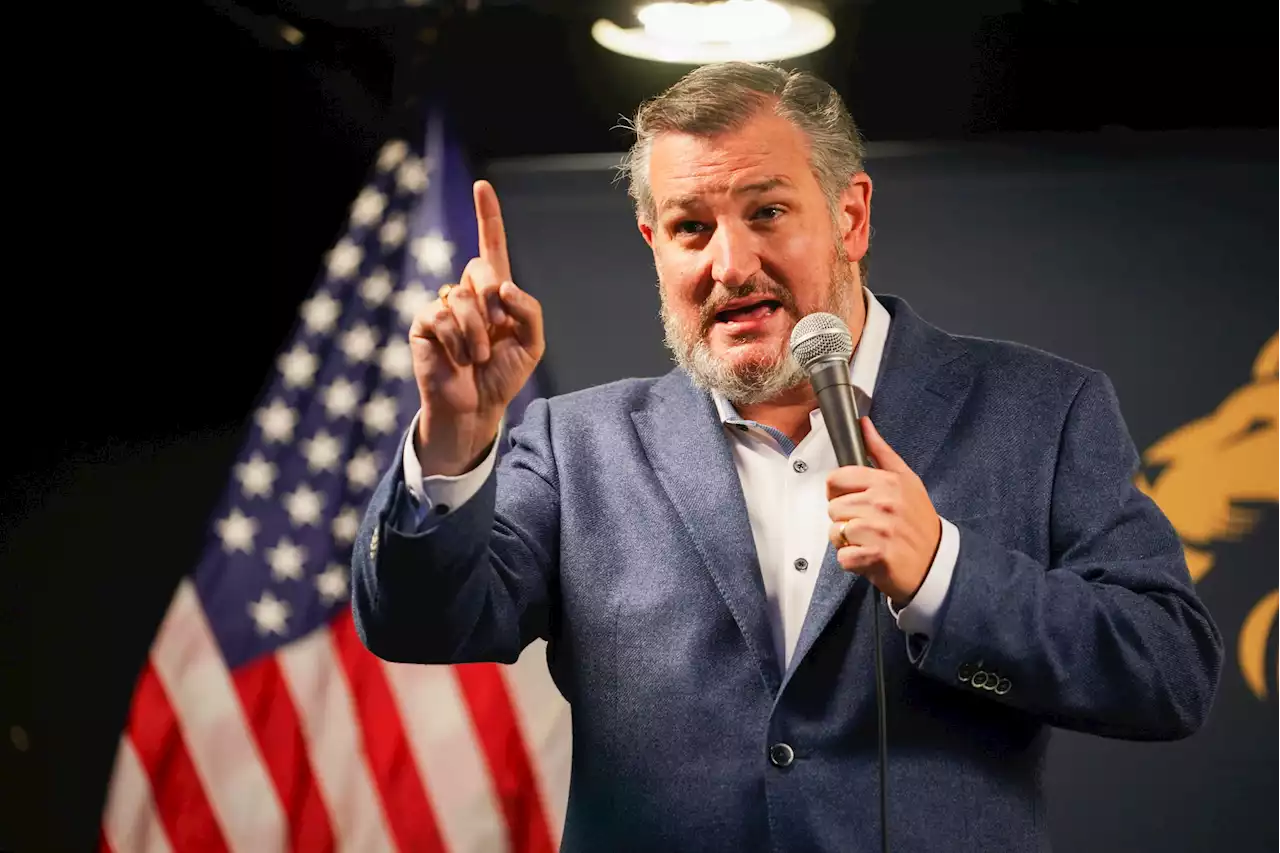 Ted Cruz slams Biden as migrant deaths surge: 'Body bags keep piling up'