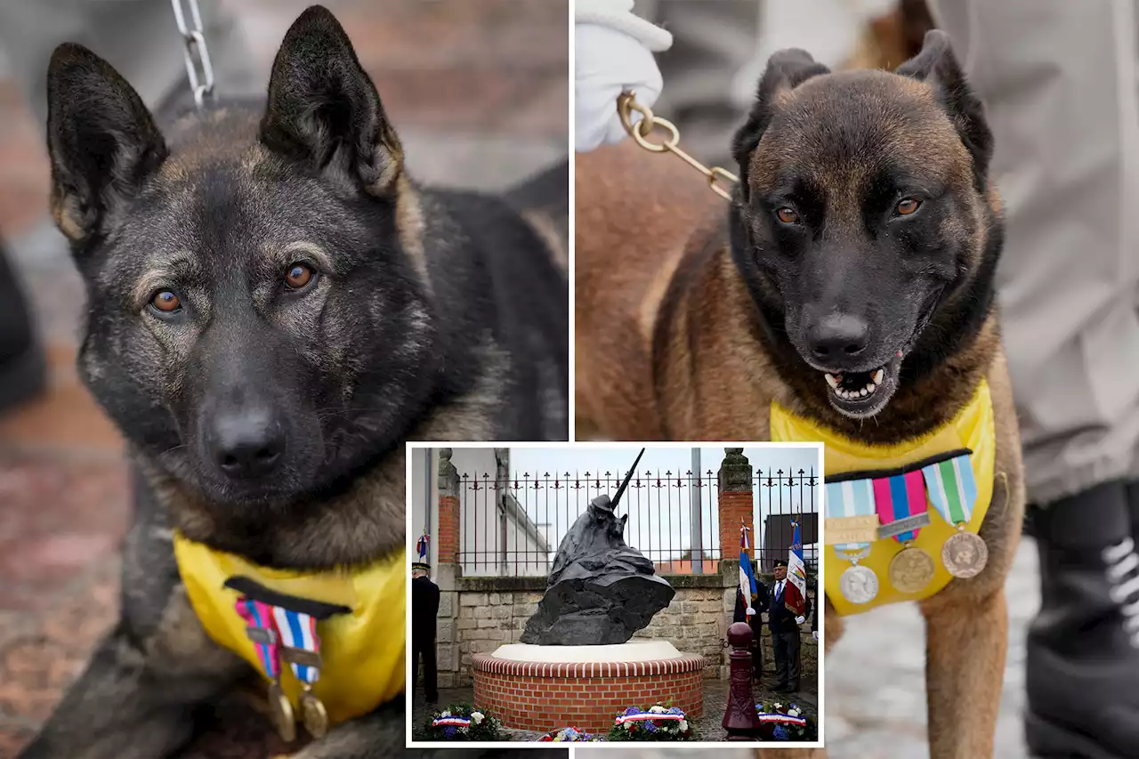 France pays tribute to hero dogs with new memorial