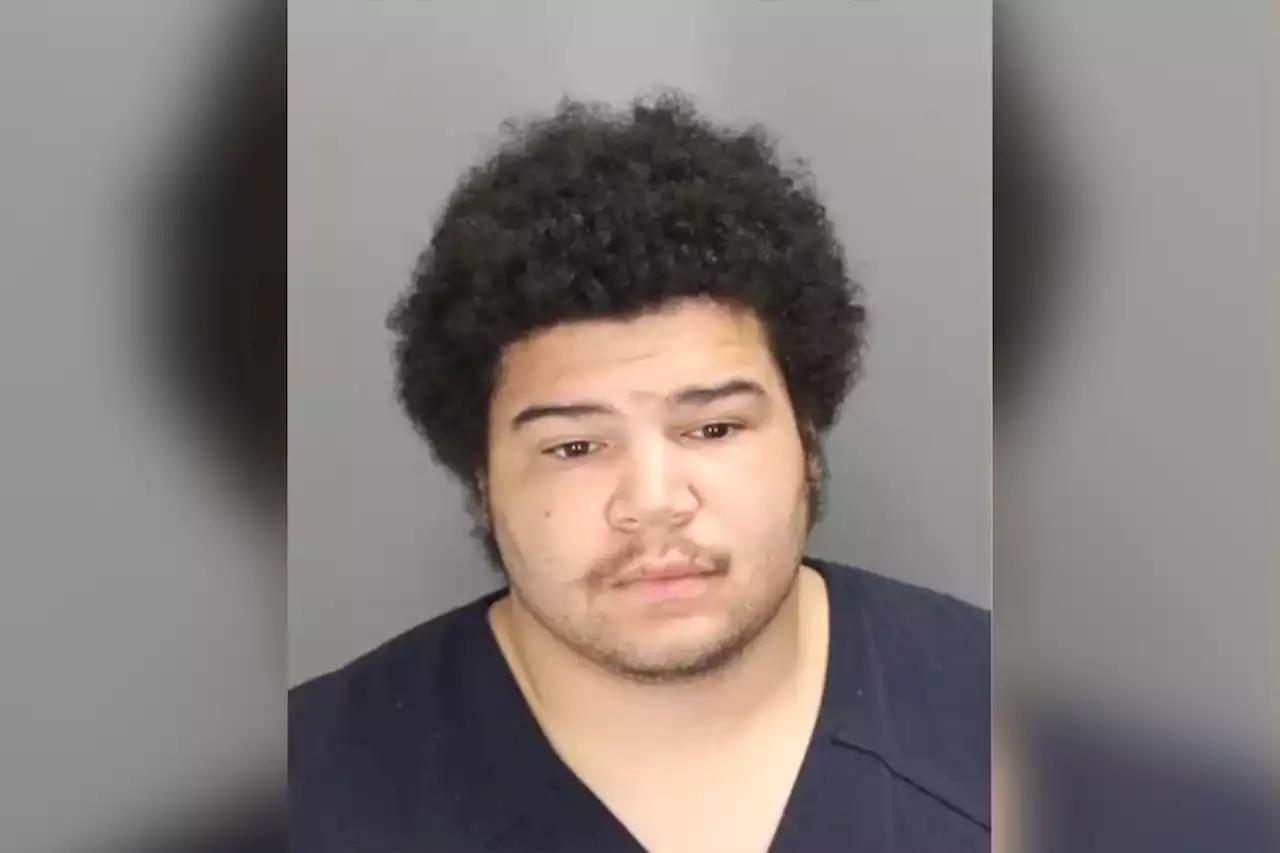 Michigan man charged after TikTok video shows him abusing child