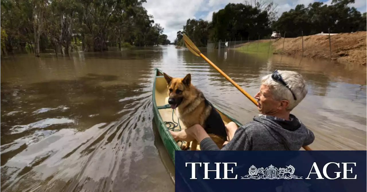 Echuca residents brace for Murray peak on Monday