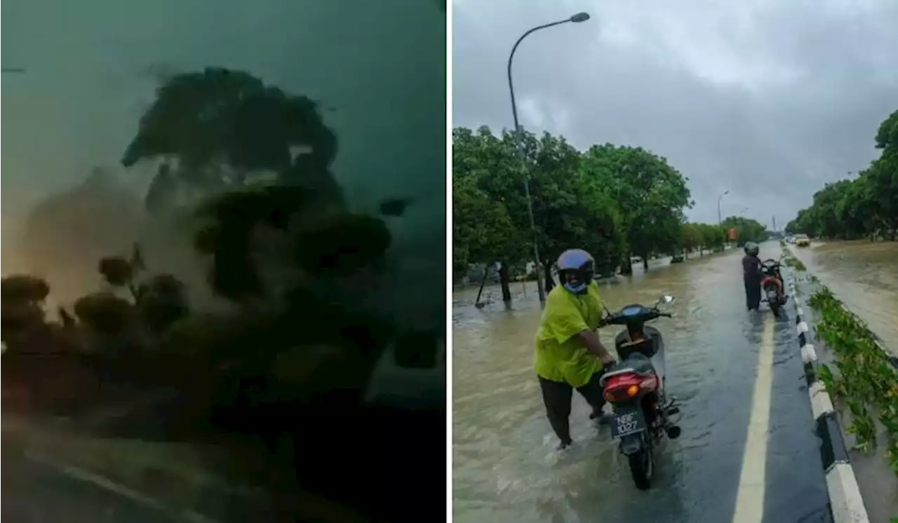 Heavy Storm In Melaka Caused Flood And Uprooted Trees, 53 People Evacuated | TRP