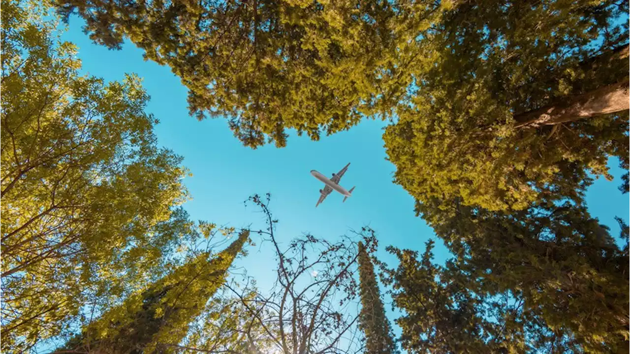 Der Traum vom nachhaltigen Fliegen: Utopisch oder realistisch?