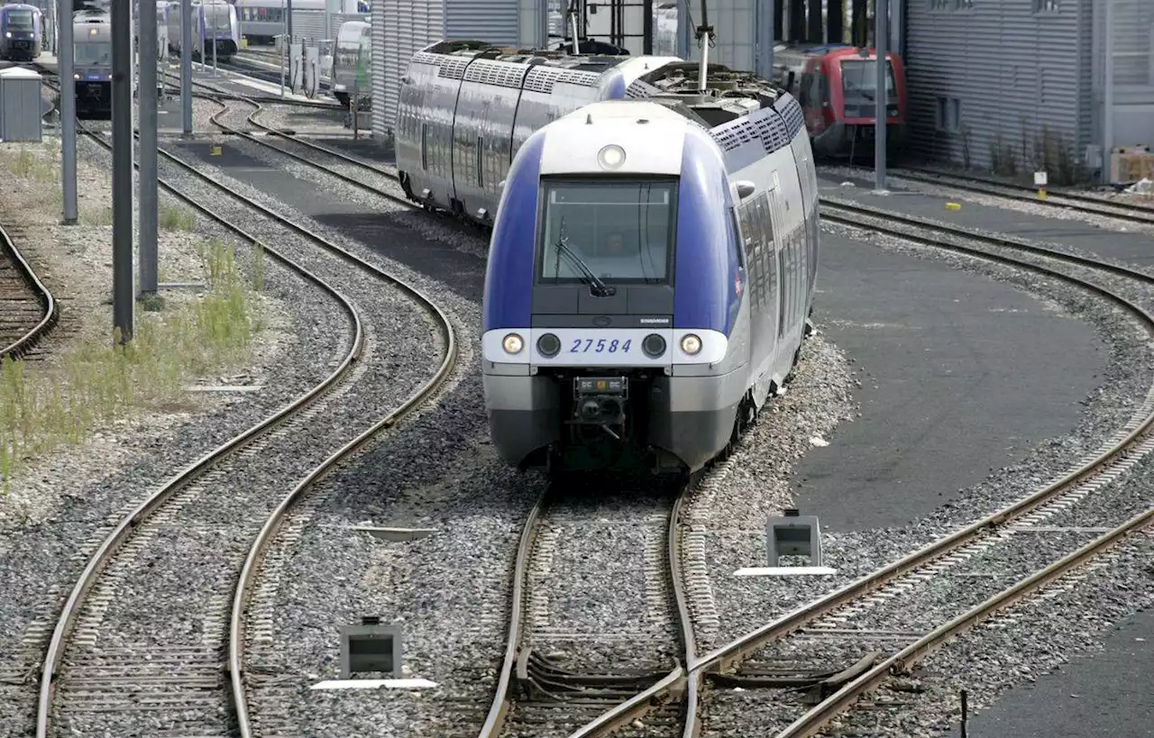 Une femme de 60 ans meurt percutée par un train en gare au sud de Montauban