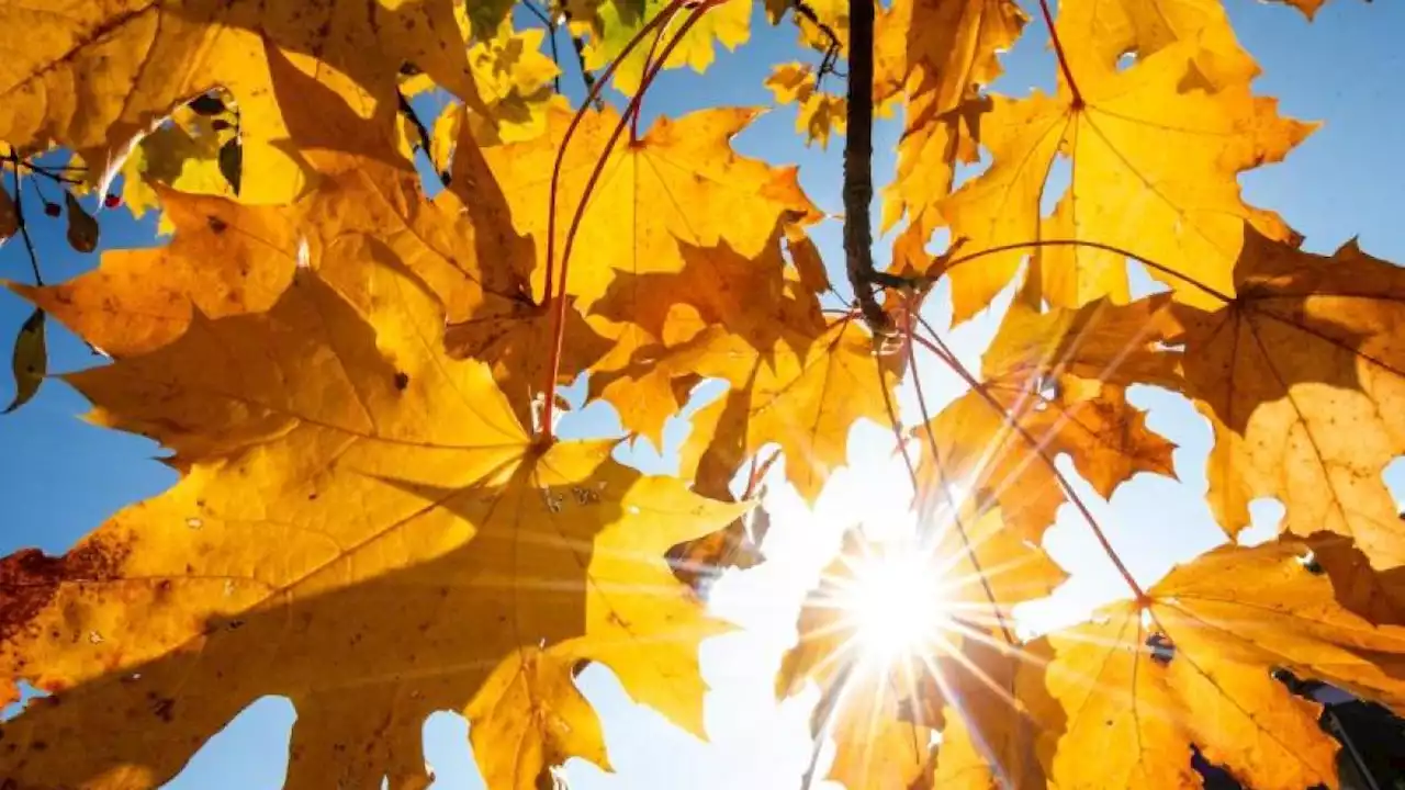 Nach kurzer Pause: Spätsommer in Bayern geht weiter