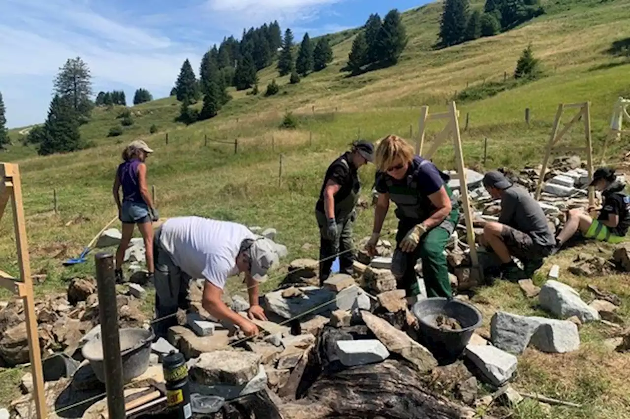 Mit vereinten Kräften zugunsten der Landschaft - bauernzeitung.ch