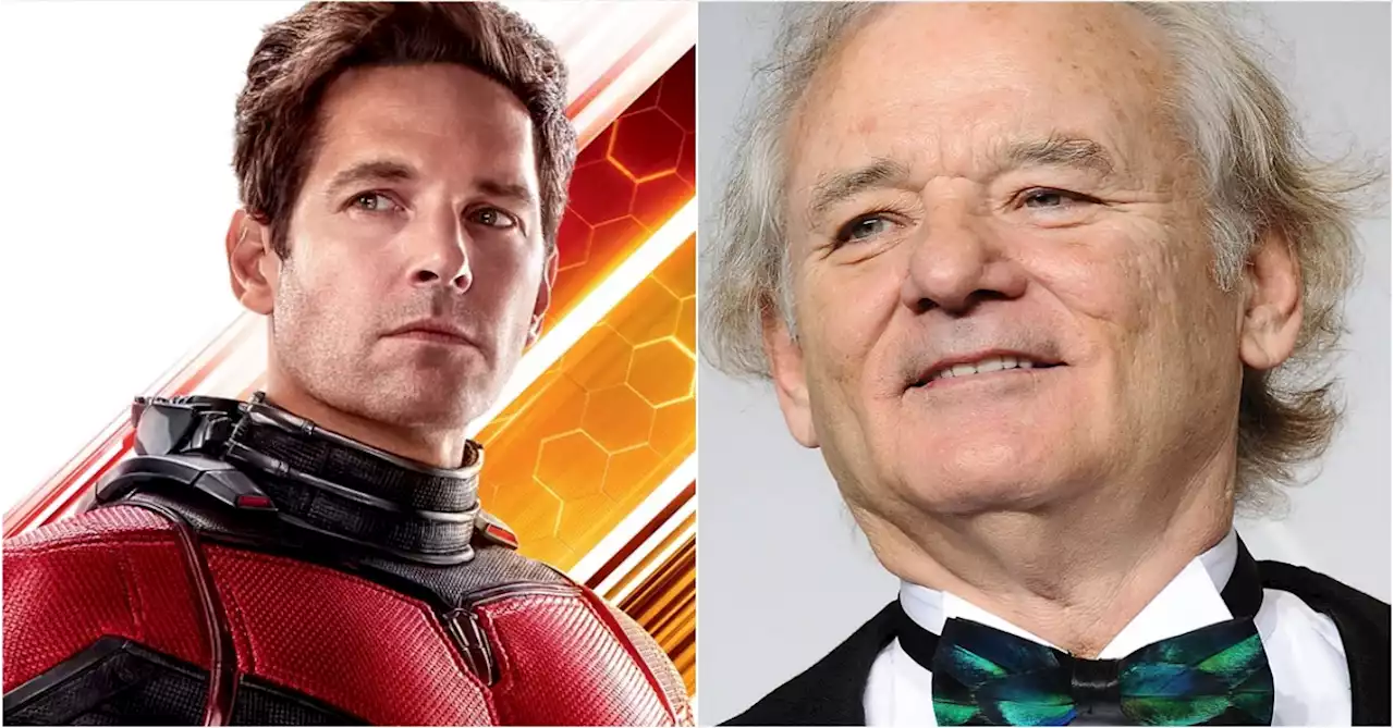 Ant-Man and the Wasp: Quantumania Reveals Bill Murray's Marvel Character