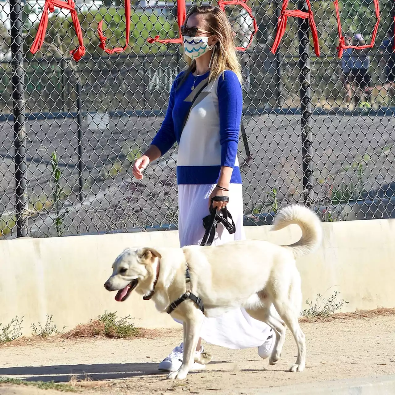 Where Is Olivia Wilde's Dog? Rescue Group Issues Statement After Nanny's Remarks - E! Online