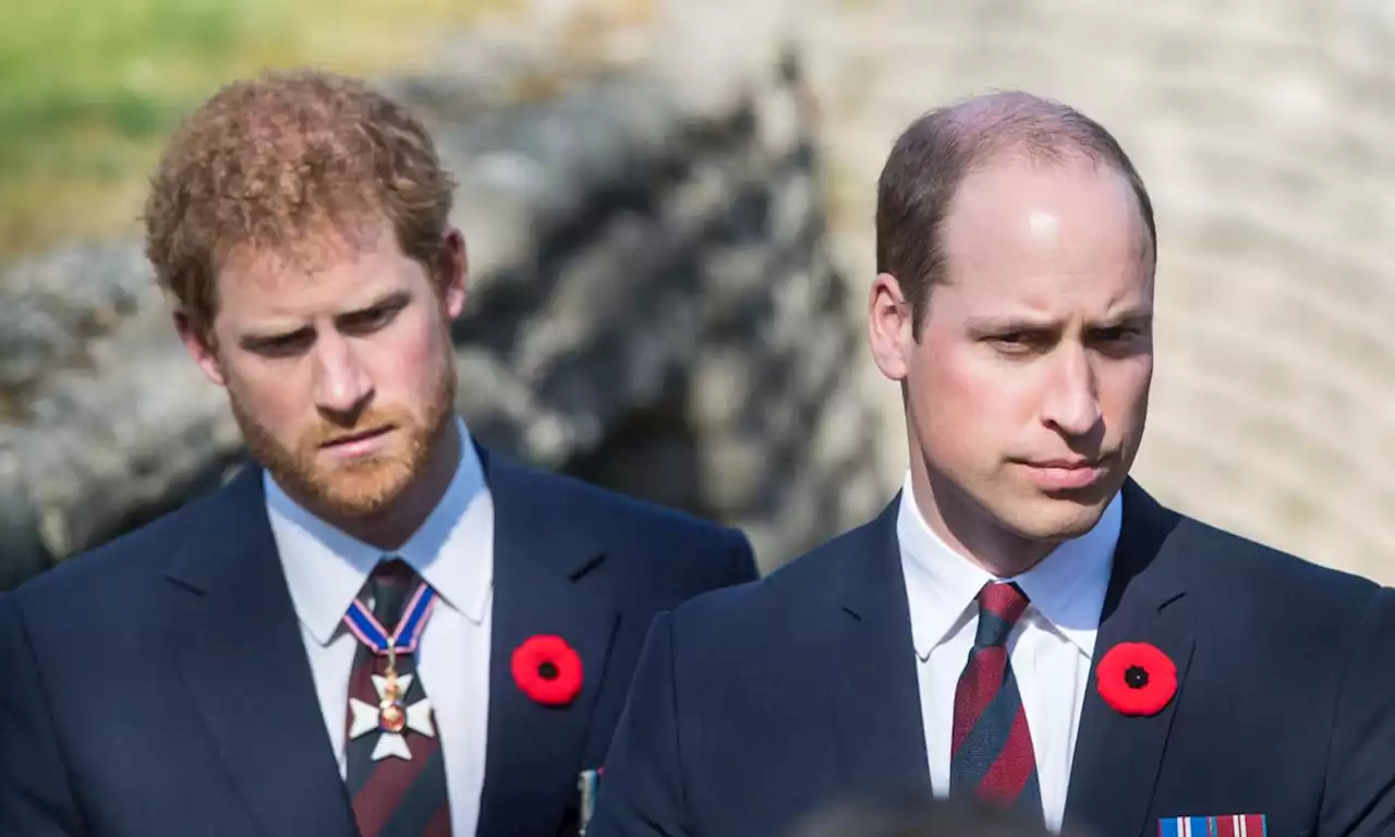 Princess Diana’s friend reveals fears for Princes William and Harry over controversial decision