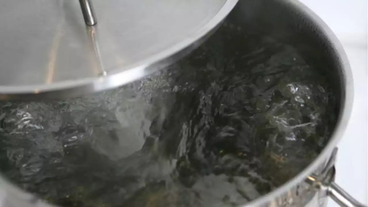 Boil water notice issued for parts of Cypress due to low distribution system pressure after water main break, officials say