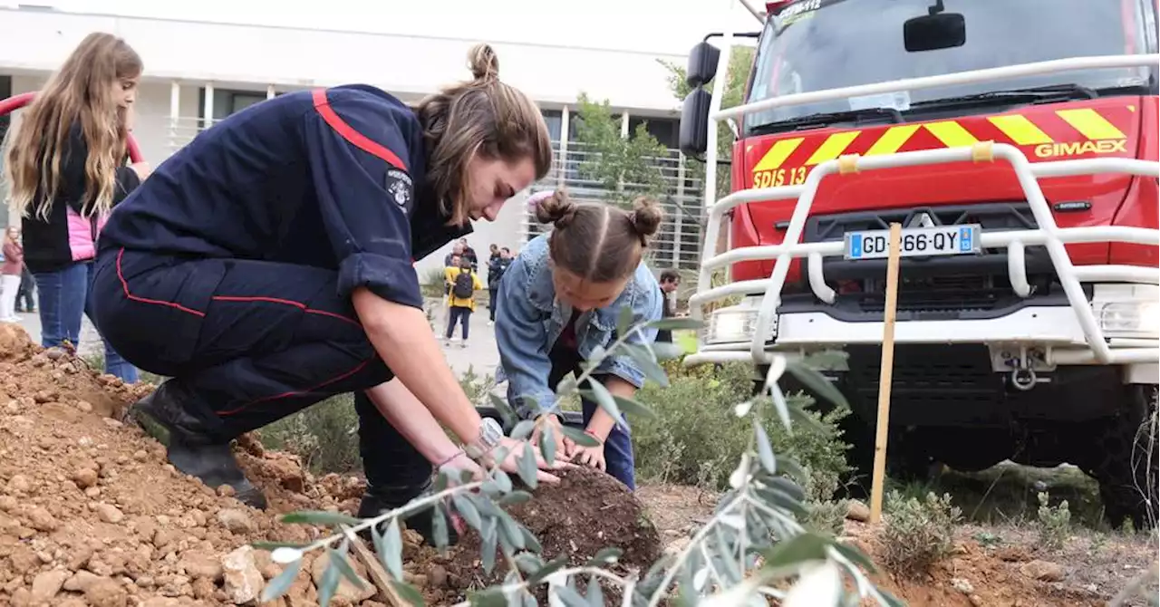 Aux abords de la caserne, 200 arbres plantés avec les pompiers de Fos et Ecosia