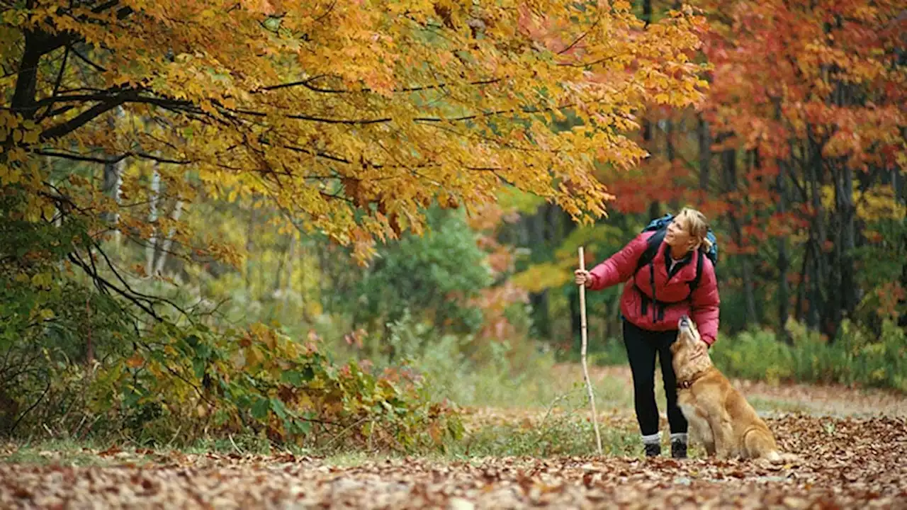 Get Out There -- It's Good for Your Brain