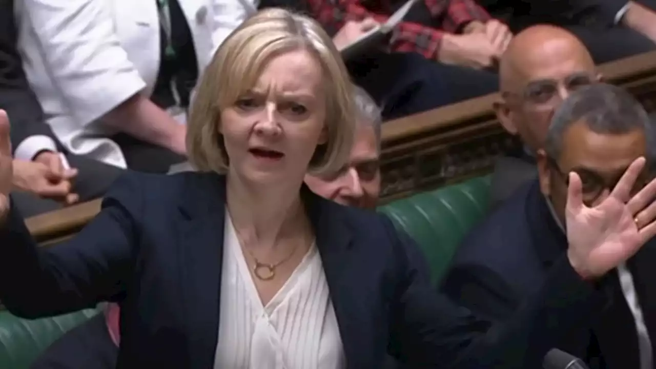 Ein britisches MMORPG macht sich sehr böse über die gescheiterte Politikerin Liz Truss lustig