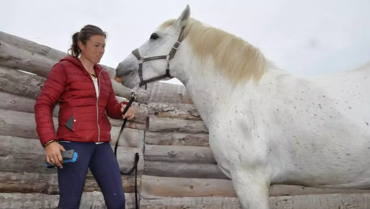 Nîmes : un an après la mort de 17 chevaux, la manade Gré, à Aigue-Mortes, n'a toujours pas pansé ses plaies