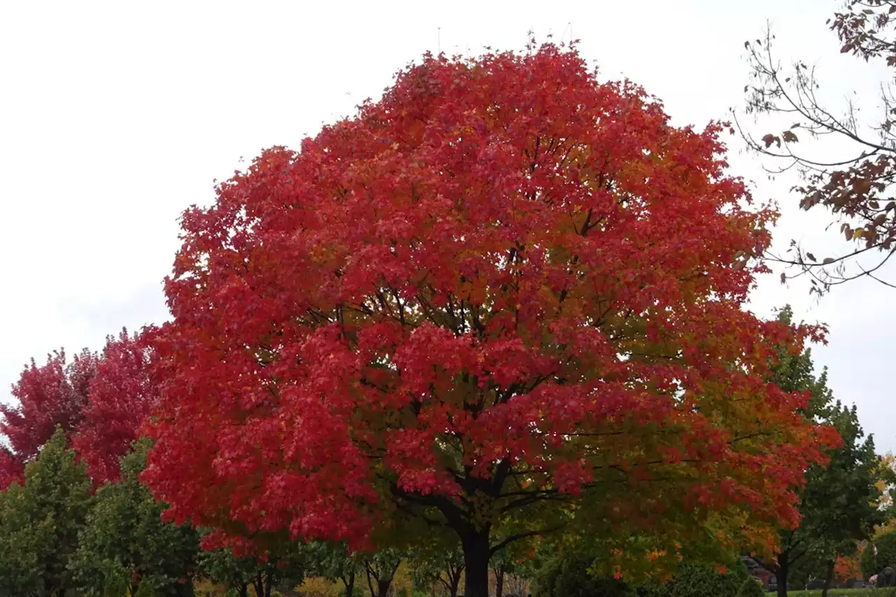 Good morning Sudbury. Here are some fresh stories to start your day.