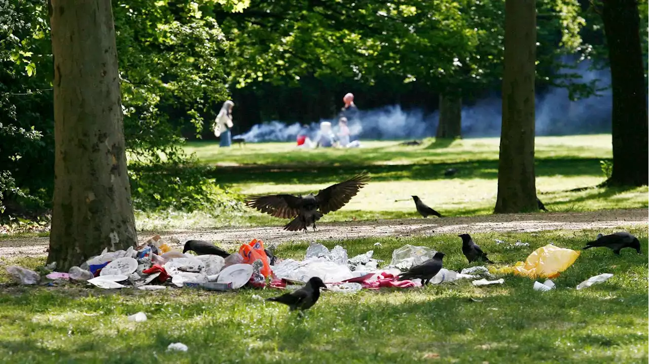 Berliner Park als Sex-Treffpunkt: Bezirksamt Mitte kündigt Aufklärungskampagne gegen Müll im Tiergarten an