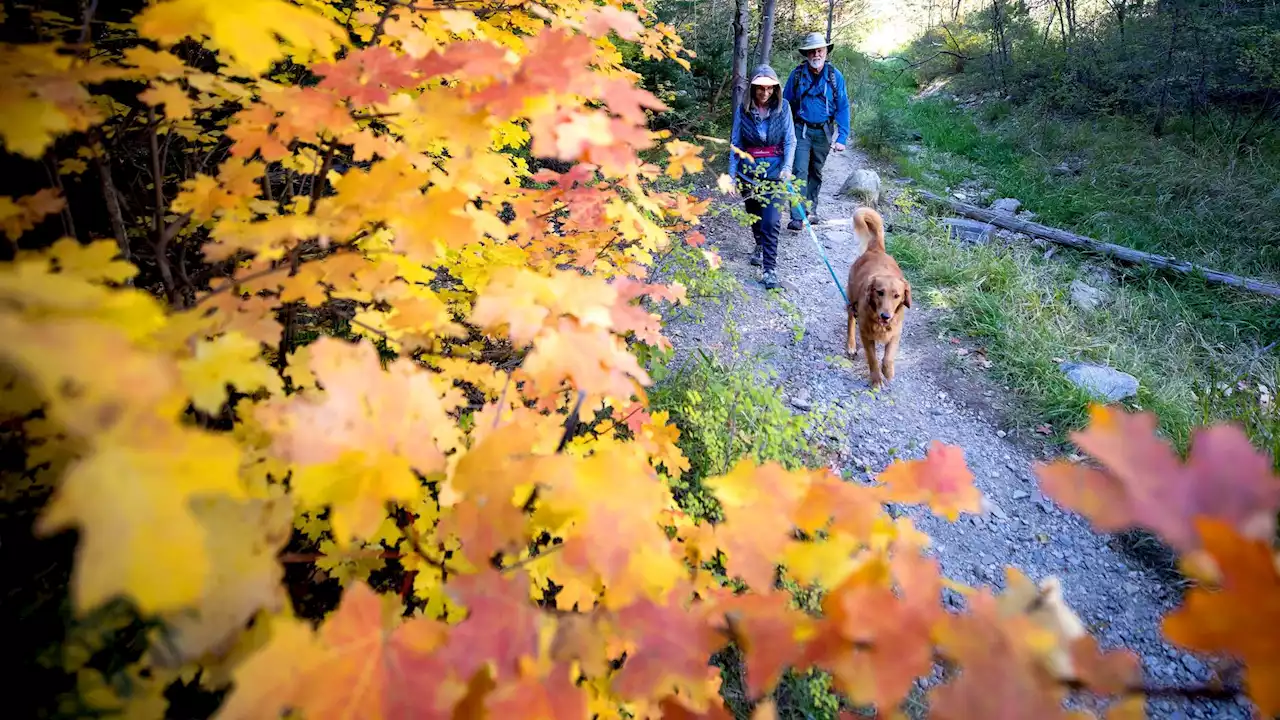 Today's Tucson weather forecast: Oct. 24