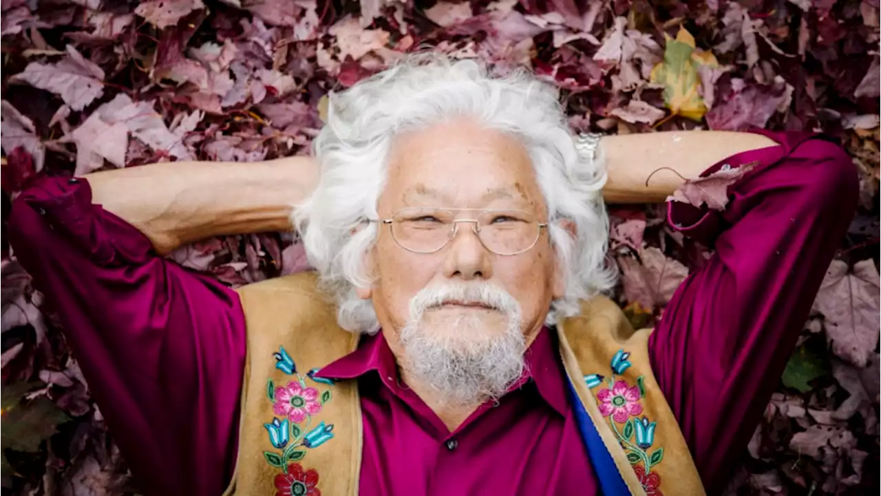 Canadian Broadcasting Legend David Suzuki to Step Down From Hosting CBC‘s ’The Nature of Things’ After 43 Years