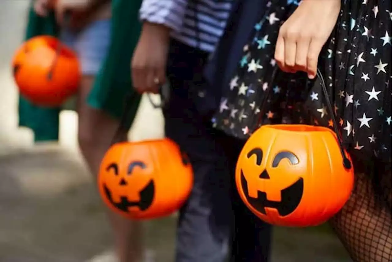 Do you know how to check your Halloween trick-or-treating route for sex offenders, predators?