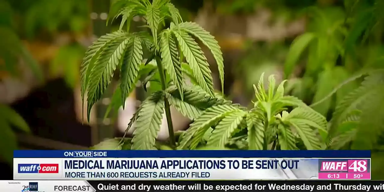 Medical marijuana business applications to be sent out Monday