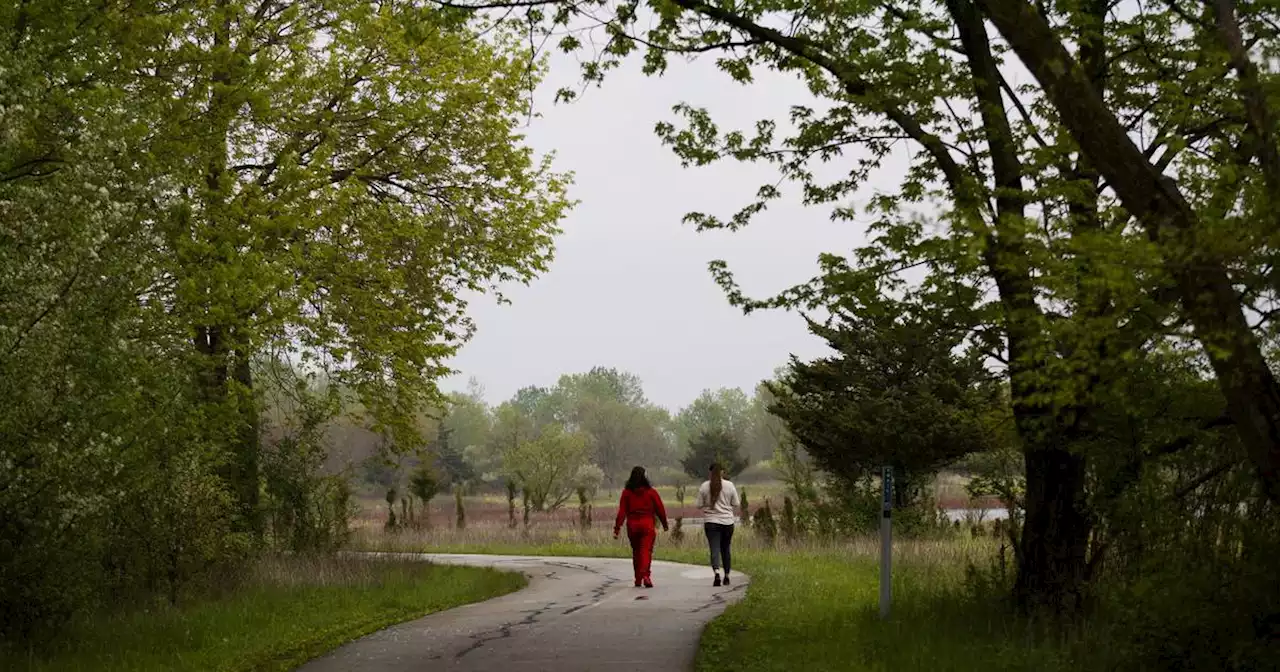 Will Cook County voters back higher taxes for forest preserves?