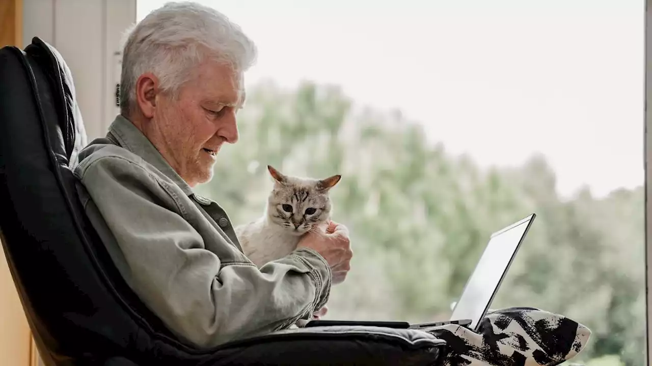 Katzen erkennen ihre Menschen an der Sprache