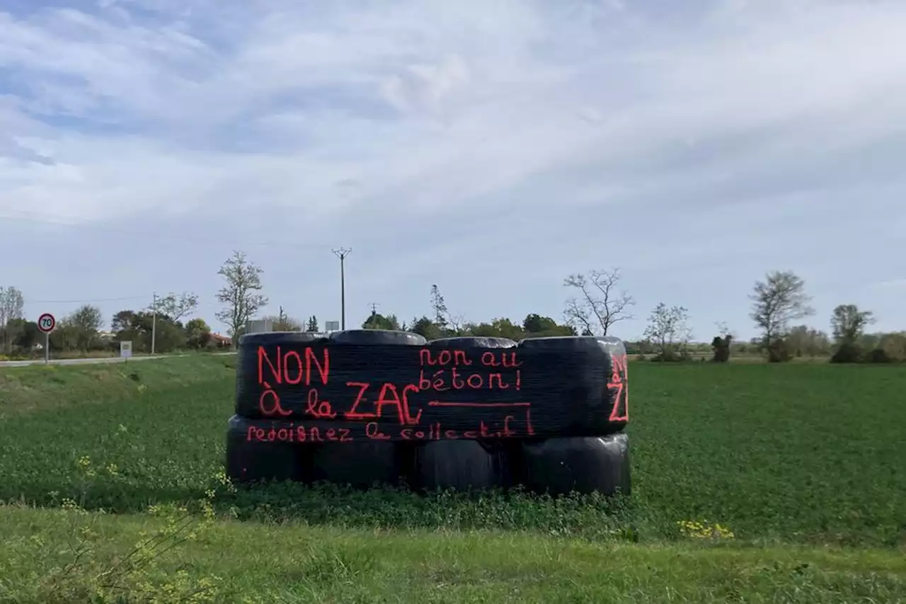 Terres agricoles ou béton : tensions autour d'un projet de zone d'activité au sud de Toulouse