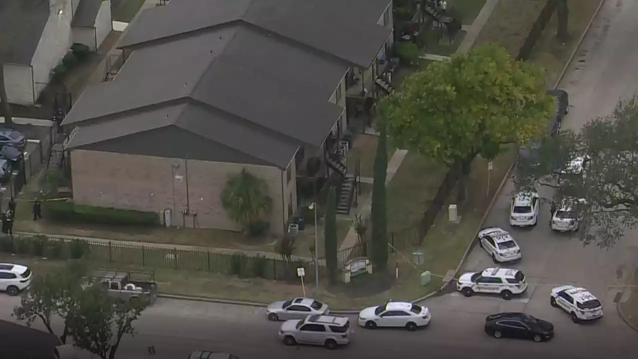 Harris County boy, 8, shot to death by brother, 10, handling shotgun: sheriff