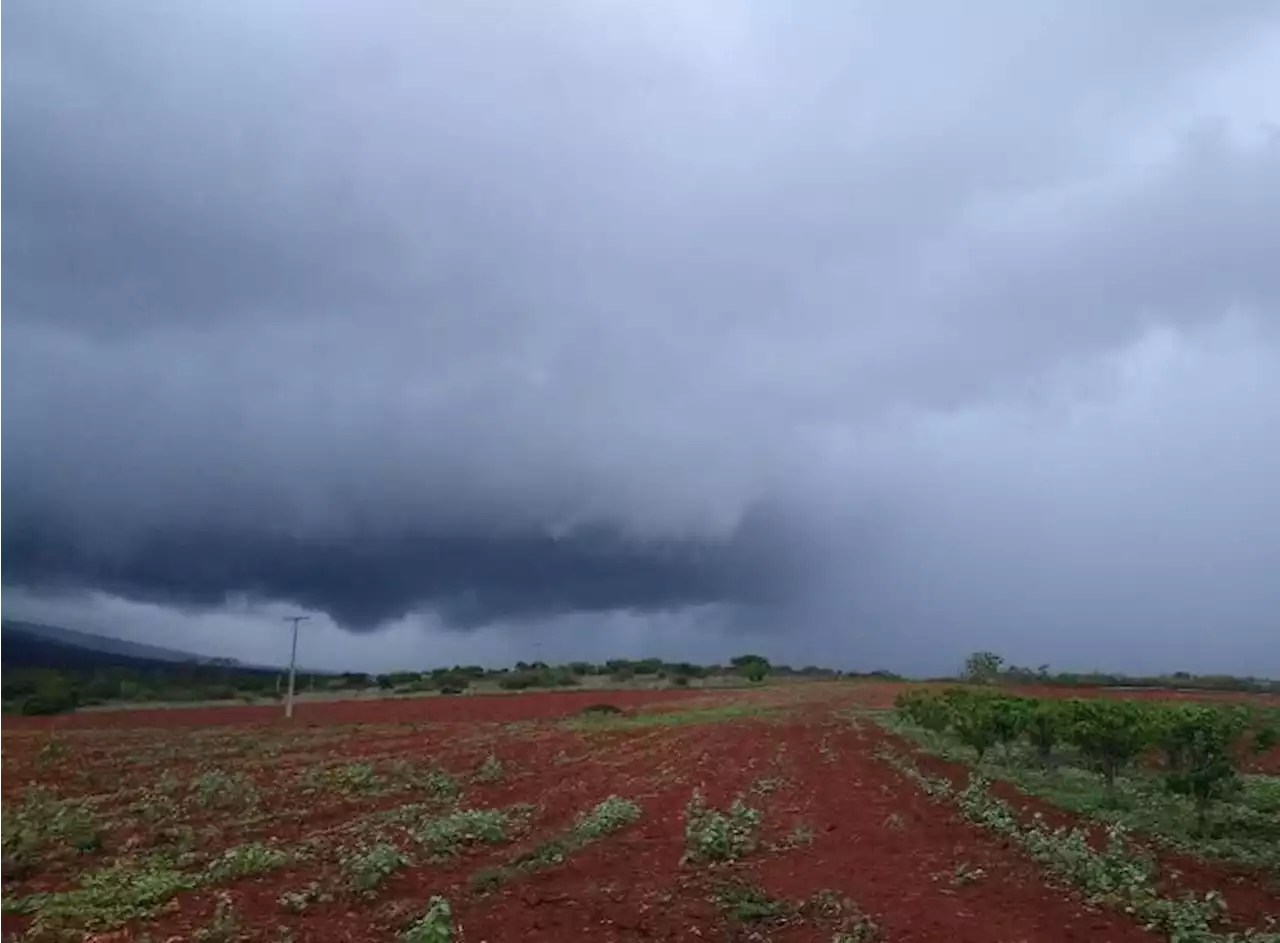 Nordeste e Norte do Brasil continuam com muita chuva | Climatempo