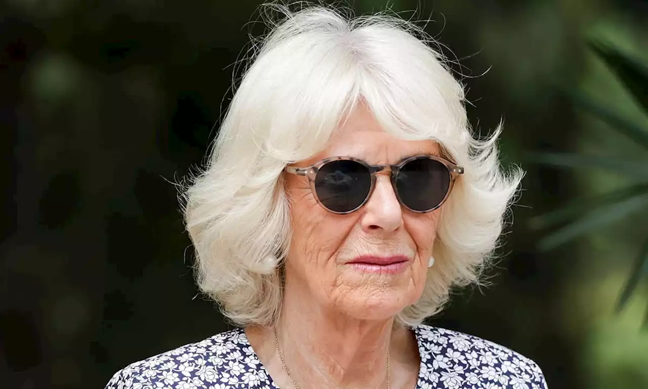 Queen Consort Camilla flies to India for ten-day holistic therapy holiday – details