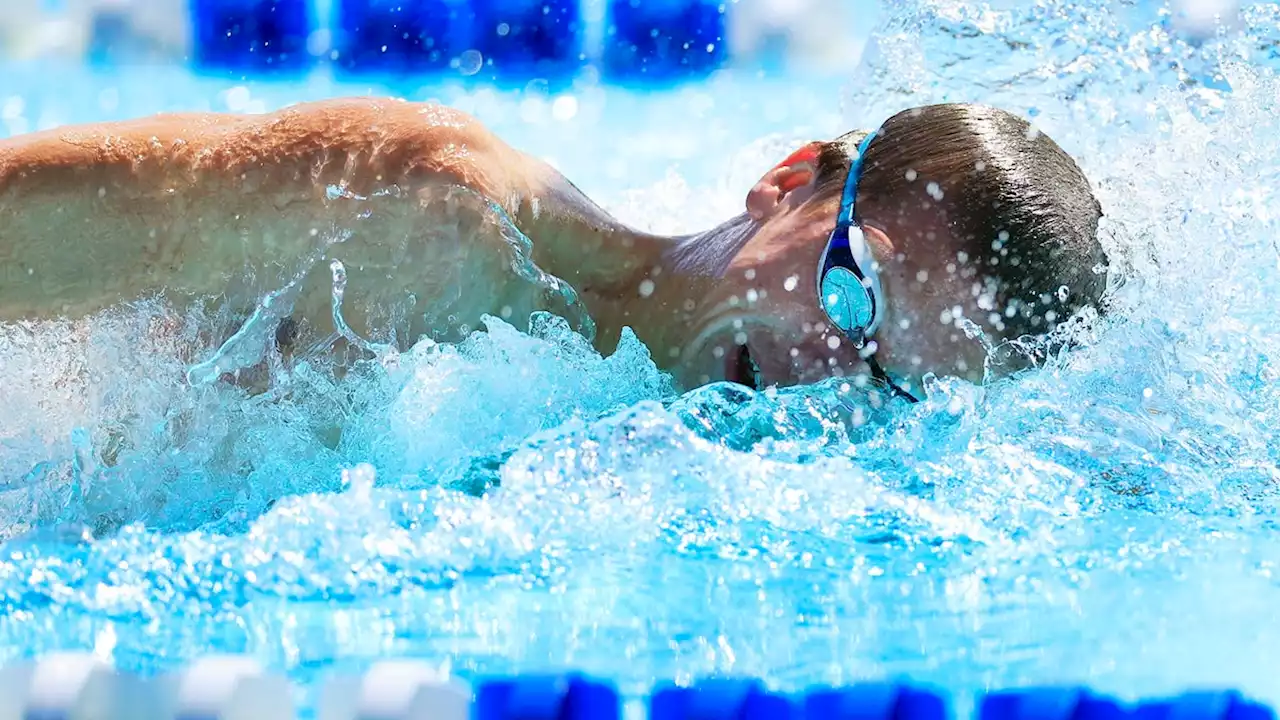 FHSAA swimming: Northeast Florida high school regional previews, Class 3A-4A