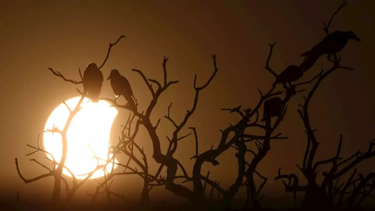 Stunning (and spooky) photos of the final solar eclipse of 2022